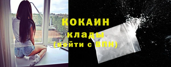 крисы Аркадак