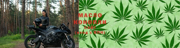 крисы Аркадак