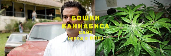 крисы Аркадак