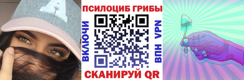 Псилоцибиновые грибы мицелий  Балей 